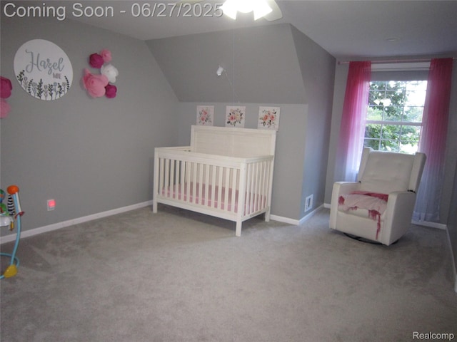 1103 N Michigan Ave, Howell, MI 48843 - photo 21