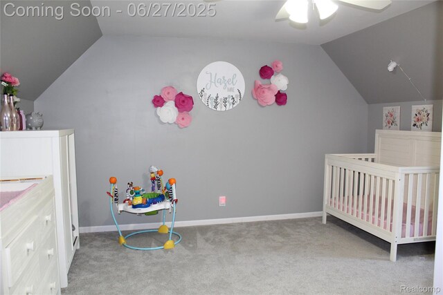1103 N Michigan Ave, Howell, MI 48843 - photo 22