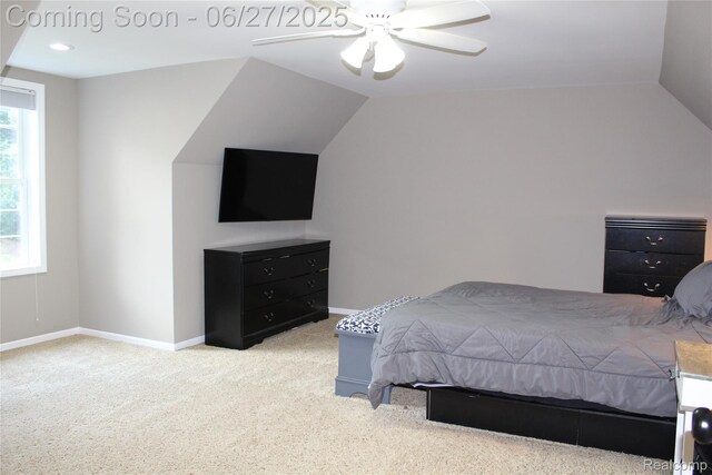 1103 N Michigan Ave, Howell, MI 48843 - photo 28