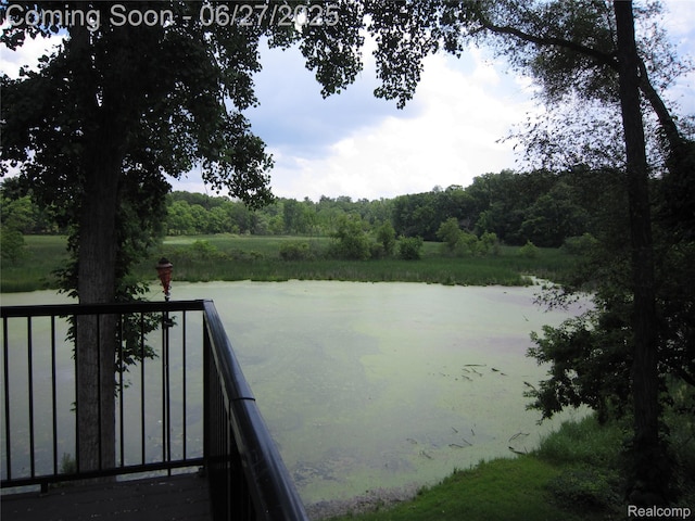 1103 N Michigan Ave, Howell, MI 48843 - photo 52