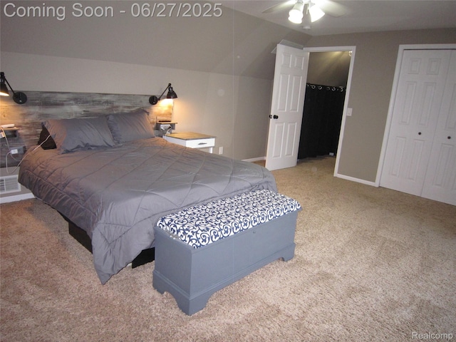 1103 N Michigan Ave, Howell, MI 48843 - photo 29