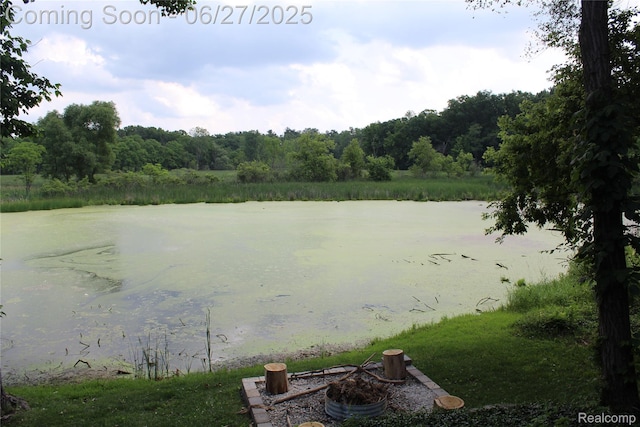 1103 N Michigan Ave, Howell, MI 48843 - photo 50