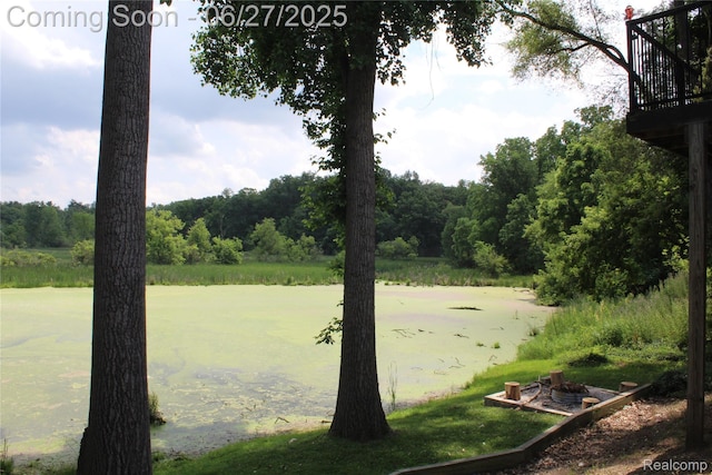 1103 N Michigan Ave, Howell, MI 48843 - photo 51
