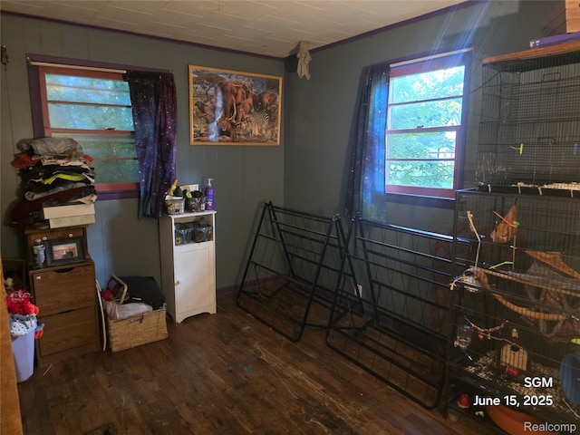 3145 Raywood St, Flint, MI 48504 - interior space with wood finished floors