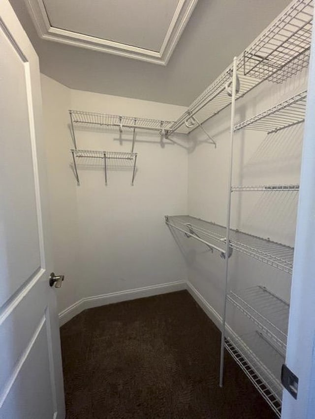 982 Lake Ridge Dr, Traverse City, MI 49684 - walk in closet with carpet flooring