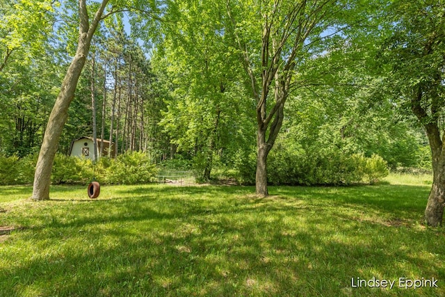 10201 Fillmore St, Zeeland, MI 49464 - view of grassy yard with a shed