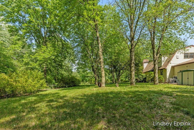 10201 Fillmore St, Zeeland, MI 49464 - view of green lawn