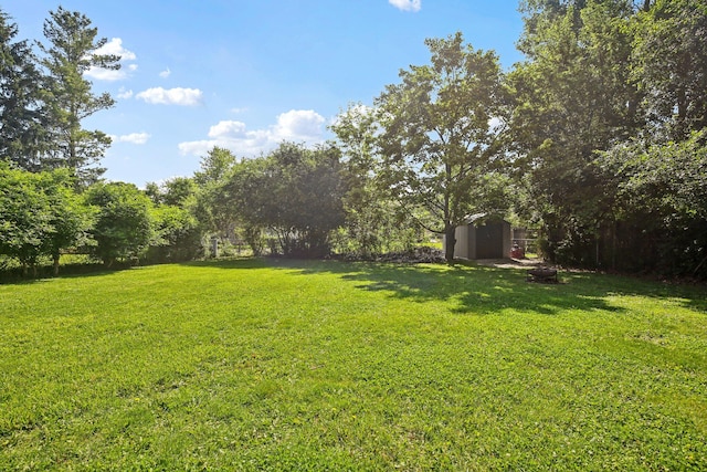 9241 Abbey Ln, Ypsilanti, MI 48198 - view of grassy yard with a shed