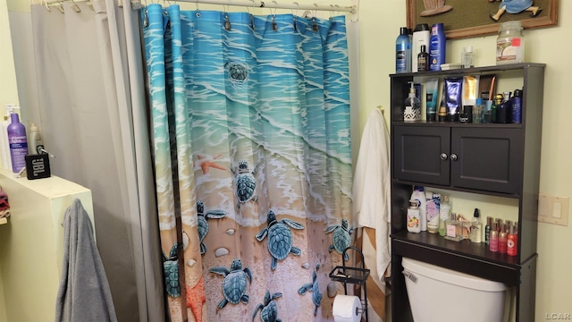 511 E Main St, Morenci, MI 49256 - bathroom with toilet and a shower with curtain