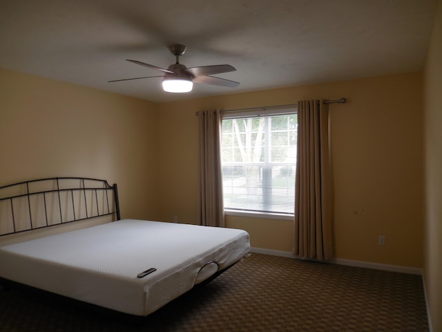 8103 Robinbrook St, Richland, MI 49083 - bedroom with carpet and ceiling fan