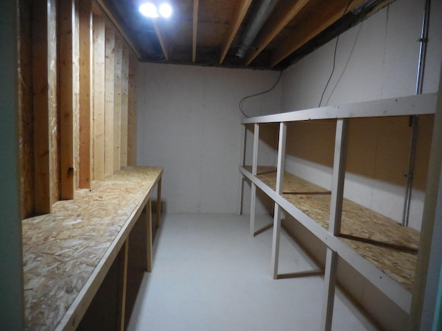 8103 Robinbrook St, Richland, MI 49083 - view of storage area