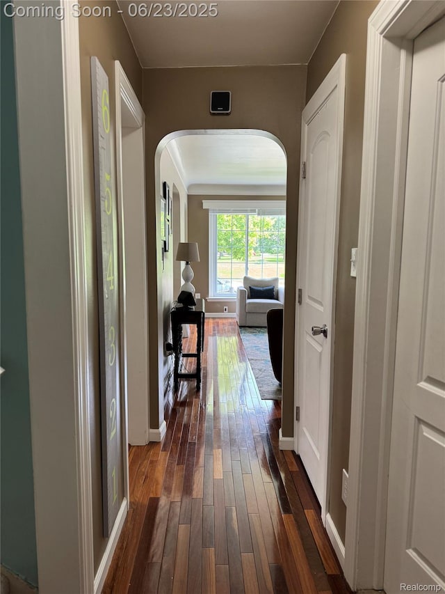 4235 Bacon Ave, Berkley, MI 48072 - hall with arched walkways and dark wood-style flooring