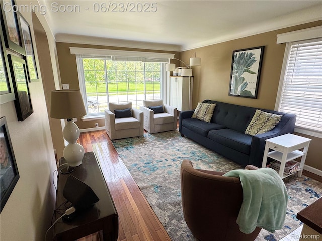4235 Bacon Ave, Berkley, MI 48072 - living room featuring hardwood / wood-style floors and baseboards