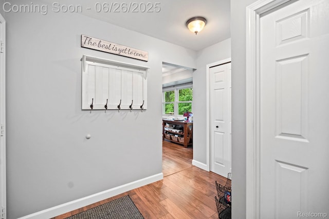 4386 Kelly Circle Dr, Commerce Twp, MI 48390 - hallway featuring light wood-style flooring and baseboards