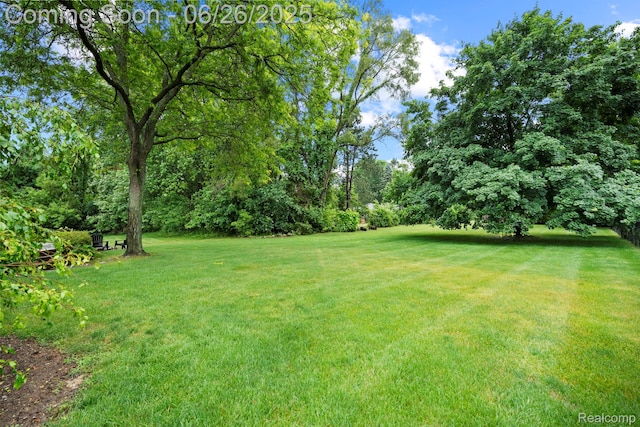 4386 Kelly Circle Dr, Commerce Twp, MI 48390 - view of grassy yard