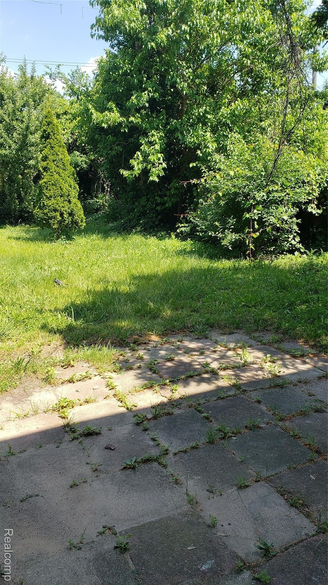 18968 Asbury Park, Detroit, MI 48235 - view of yard