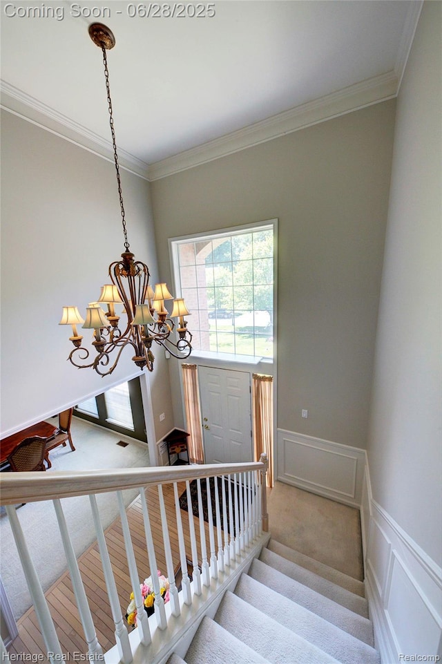 3400 Yosemite Dr, Lake Orion, MI 48360 - stairs with crown molding, a chandelier, a decorative wall, wainscoting, and carpet floors