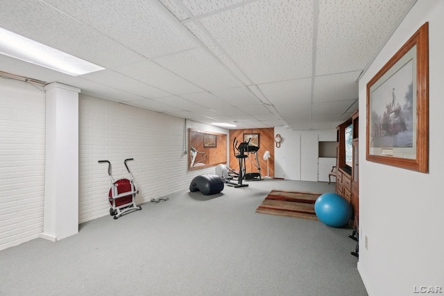 221 Burt St, Tecumseh, MI 49286 - workout room with carpet floors and a paneled ceiling