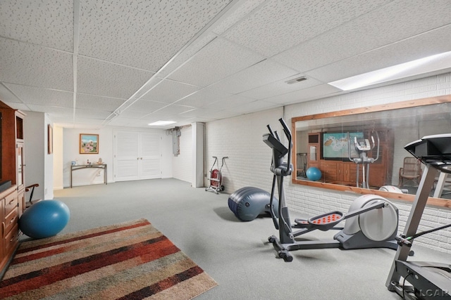 221 Burt St, Tecumseh, MI 49286 - exercise area with a paneled ceiling and carpet flooring