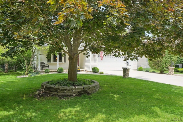 221 Burt St, Tecumseh, MI 49286 - view of green lawn featuring driveway and an attached garage
