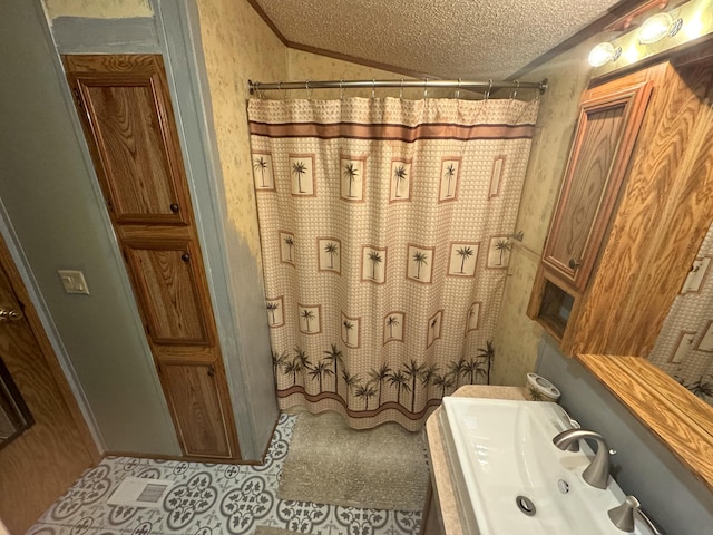 8836 Stevensville Baroda Rd Lot 135, Baroda, MI 49101 - full bathroom featuring a textured ceiling, a shower with curtain, lofted ceiling, and vanity