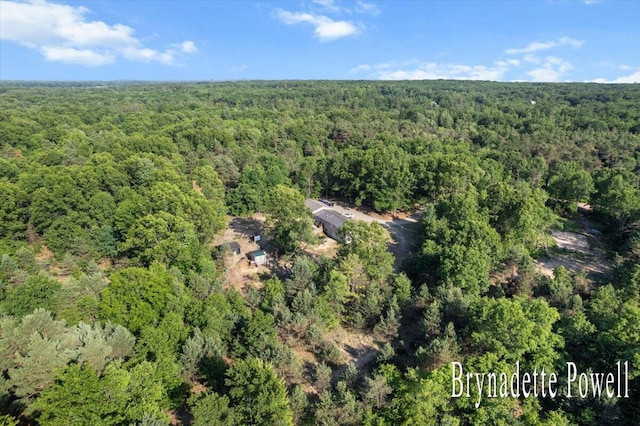 17122 Kent Ave, Morley, MI 49336 - aerial overview of property's location featuring a heavily wooded area