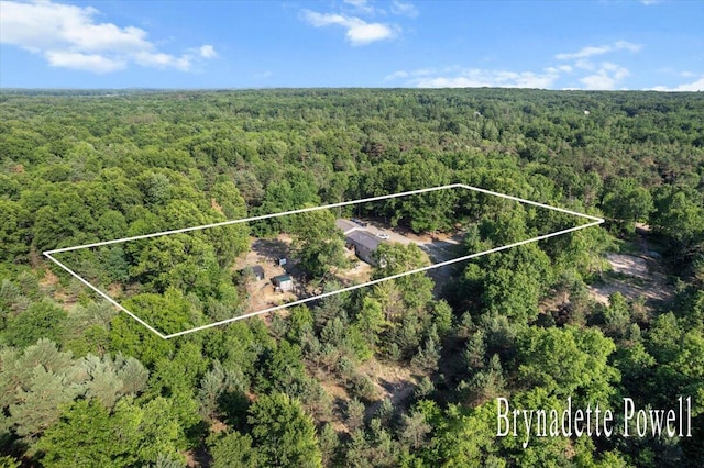 17122 Kent Ave, Morley, MI 49336 - aerial view of property's location with a heavily wooded area and property parcel outlined