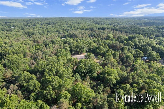 17122 Kent Ave, Morley, MI 49336 - aerial overview of property's location with a heavily wooded area