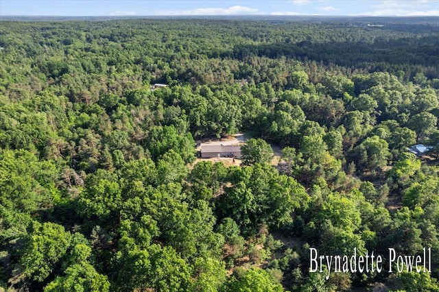 17122 Kent Ave, Morley, MI 49336 - view of property location featuring a forest