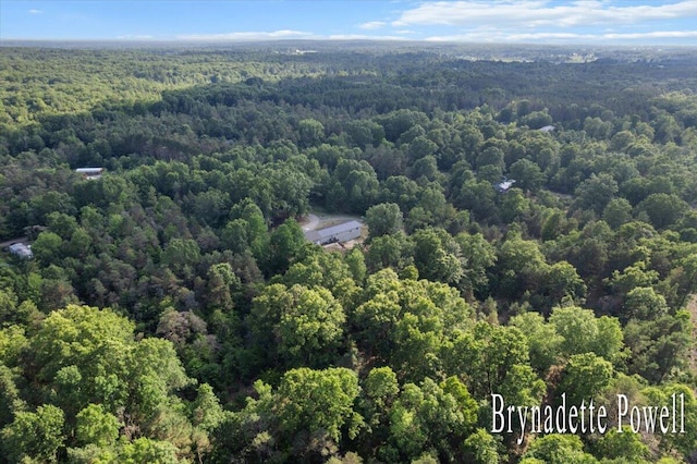17122 Kent Ave, Morley, MI 49336 - drone / aerial view of a heavily wooded area