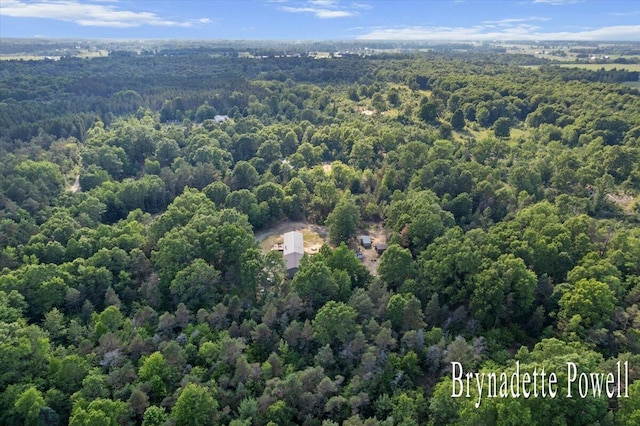 17122 Kent Ave, Morley, MI 49336 - drone / aerial view of a heavily wooded area