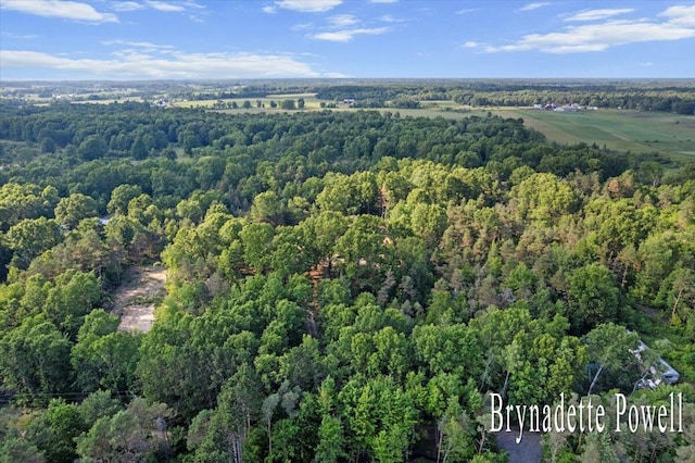 17122 Kent Ave, Morley, MI 49336 - view of property location with a forest