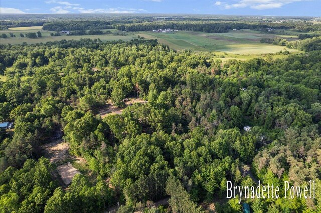 17122 Kent Ave, Morley, MI 49336 - aerial overview of property's location featuring a heavily wooded area