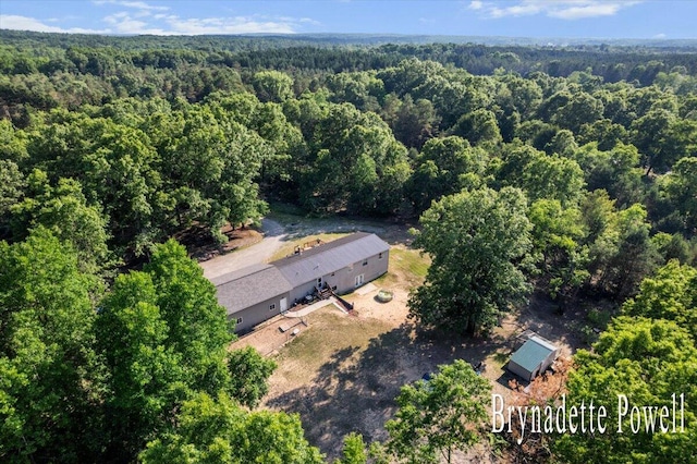 17122 Kent Ave, Morley, MI 49336 - view from above of property with a heavily wooded area