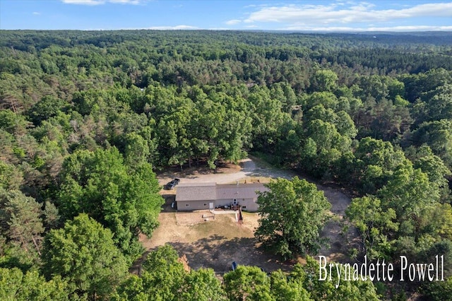 17122 Kent Ave, Morley, MI 49336 - view of subject property with a heavily wooded area