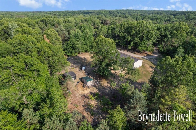 17122 Kent Ave, Morley, MI 49336 - aerial overview of property's location with a heavily wooded area