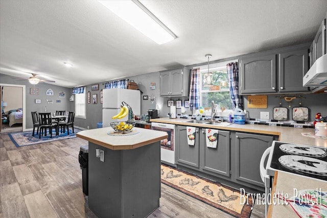 17122 Kent Ave, Morley, MI 49336 - kitchen featuring white appliances, gray cabinetry, light countertops, ceiling fan, and light wood finished floors