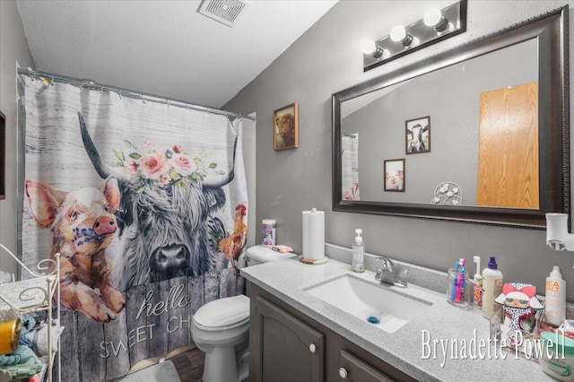 17122 Kent Ave, Morley, MI 49336 - bathroom with vanity, a shower with shower curtain, and wood finished floors