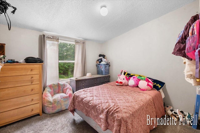 17122 Kent Ave, Morley, MI 49336 - carpeted bedroom featuring a textured ceiling