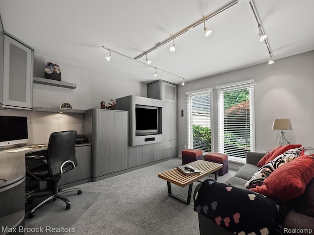 6224 Bromley Ct, West Bloomfield, MI 48322 - office featuring carpet and rail lighting