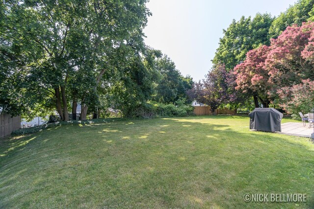 2036 Dawson Ave NE, Grand Rapids, MI 49505 - view of yard