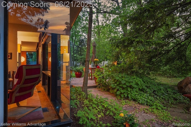 5959 Rosetta St, Dearborn Heights, MI 48127 - view of yard