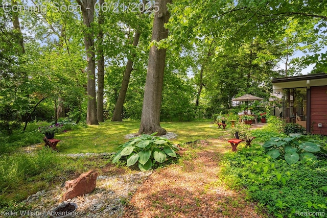 5959 Rosetta St, Dearborn Heights, MI 48127 - view of grassy yard