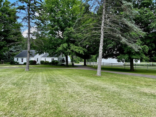 9910 8 Mile Rd, Ceresco, MI 49033 - view of yard