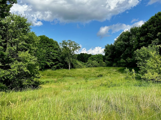 9910 8 Mile Rd, Ceresco, MI 49033 - view of woods