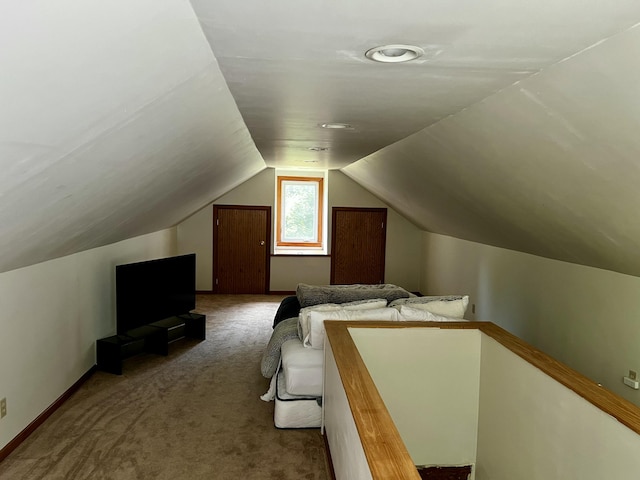 9910 8 Mile Rd, Ceresco, MI 49033 - bedroom featuring carpet floors and lofted ceiling