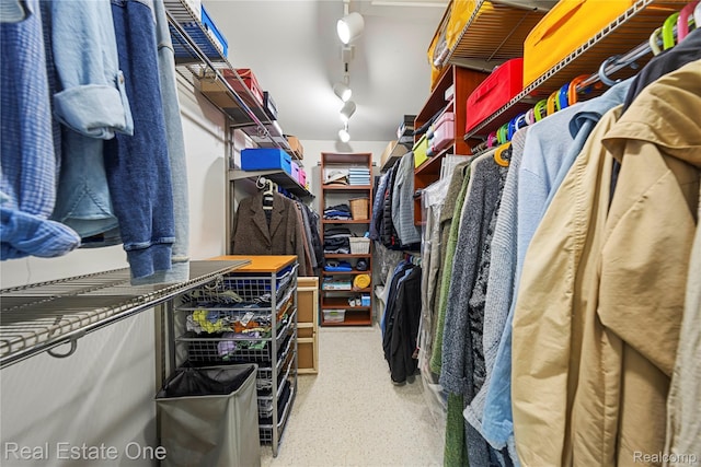 25006 Davenport Ave, Novi, MI 48374 - view of spacious closet