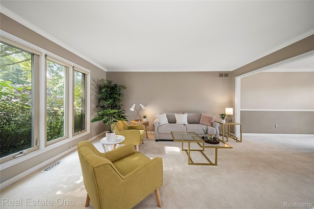 25006 Davenport Ave, Novi, MI 48374 - carpeted living area with crown molding and baseboards