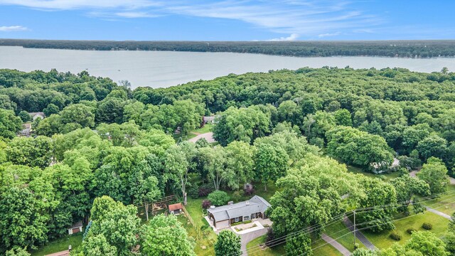 11279 E Cd Ave, Richland, MI 49083 - aerial view of a large body of water and a forest