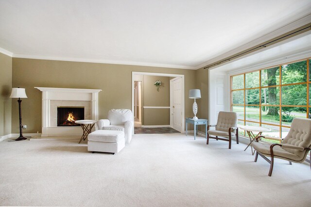 11279 E Cd Ave, Richland, MI 49083 - sitting room featuring carpet, crown molding, and a high end fireplace